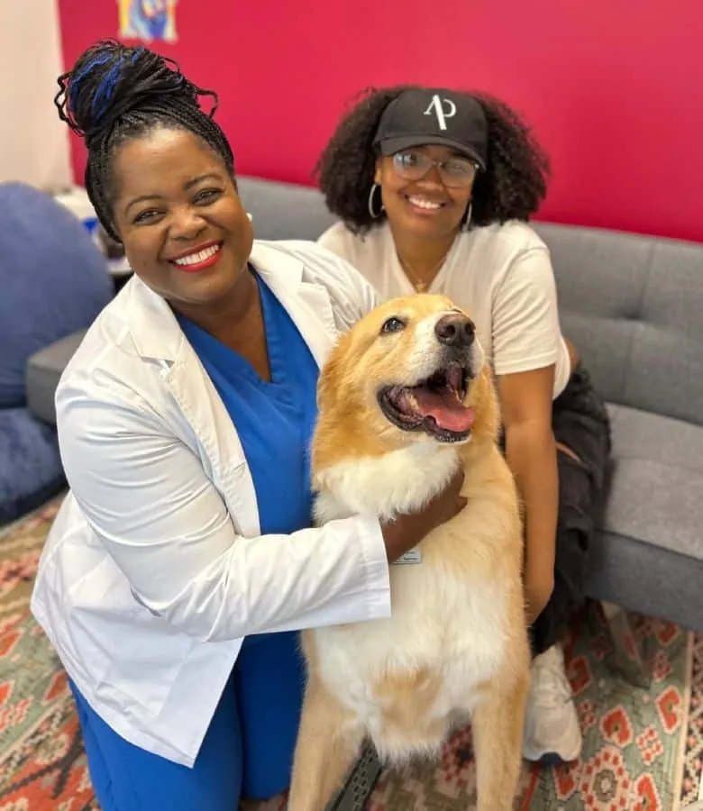 Two veterinary team members with a golden retriever in the clinic