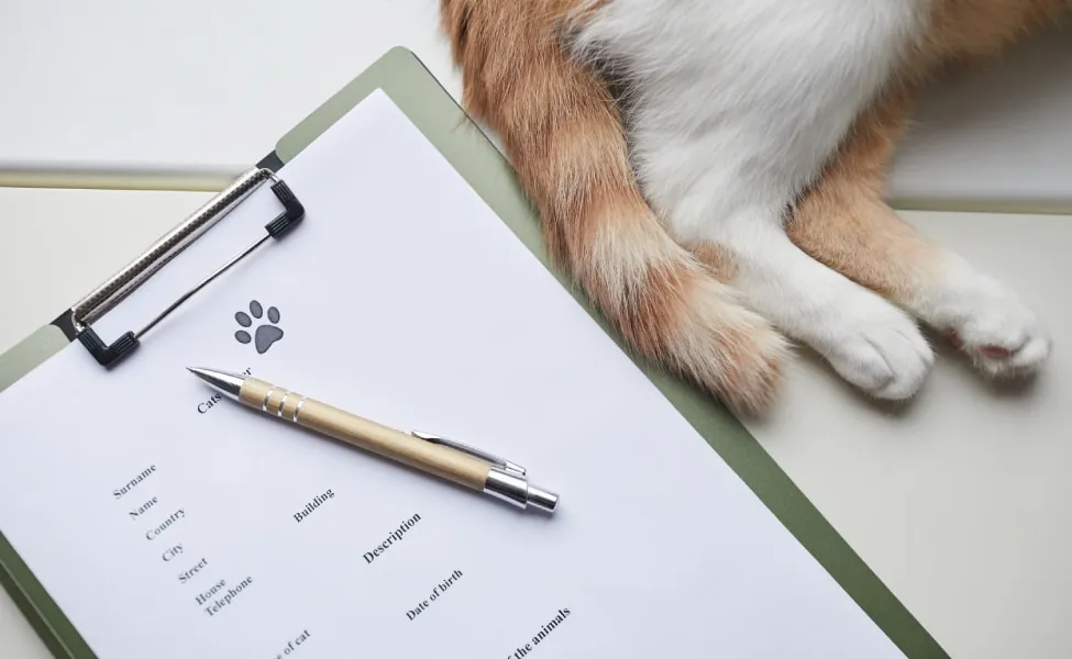 medical card of pet