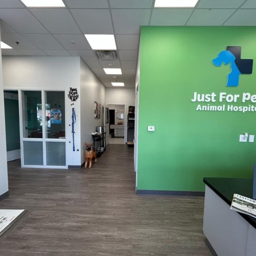 justforpetsanimalhospital-contact justforpetsanimalhospital-contact