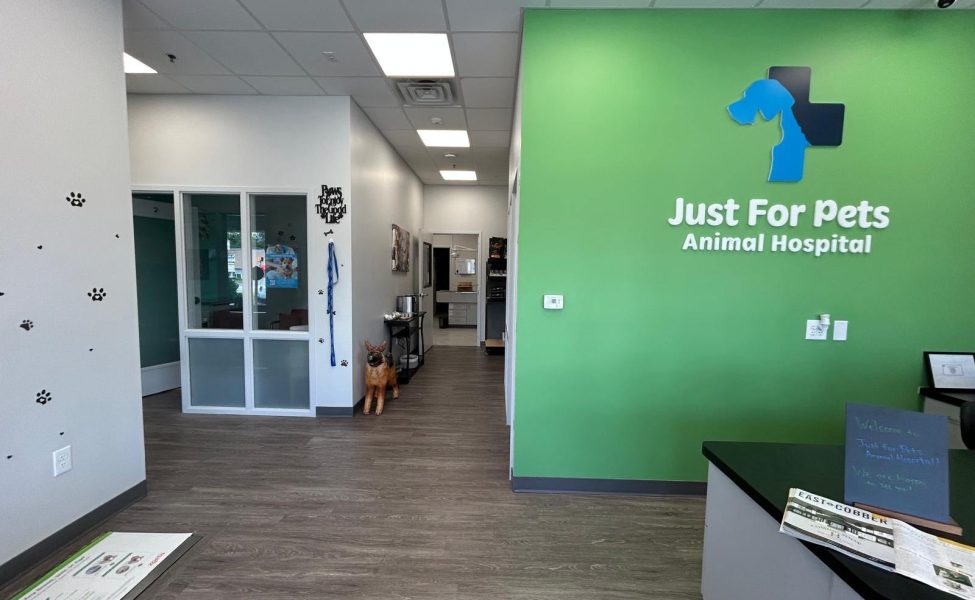 justforpetsanimalhospital-contact