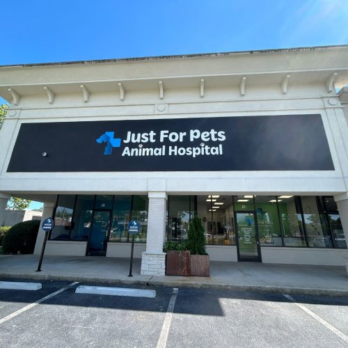 justforpetsanimalhospital-home justforpetsanimalhospital-home