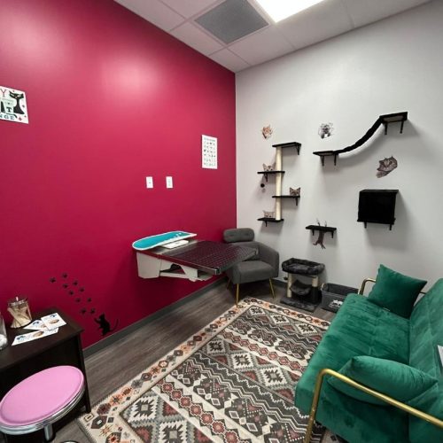 justforpetsanimalhospital-sick-pet-visit